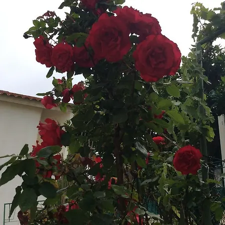 דירה Cascais Casa Sta Maria *